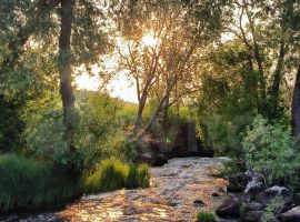 Коттедж 60 м² на участке 2 га - Береговая (ТСГ N 709 тер). Каменногорск - фото 19