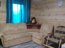 Счастливчик - Чернолесская Пустынь. деревня Чернолесская Пустынь - фото 14