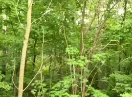 3-к. дом, 90 м² - . Коломна - фото 0