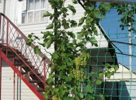 Дом в Оренбургская область, Соль-Илецк ул. Пушкина, 81 (20 м²) - ГСК Пушкина 268. Соль-Илецк - фото 4