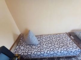 Дом в Оренбургская область, Соль-Илецк Советская ул., 79 (60 м²) - Новосоветская. Соль-Илецк - фото 8