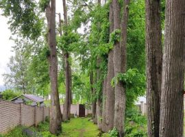 Дом в Новгородская область, Валдай Молотковская ул., 6 (50 м²) - . Валдай - фото 6