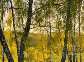 Дом в Калужская область, Козельск ул. Березовая, 3 (82 м²) - Березовая Аллея. Козельск - фото 9