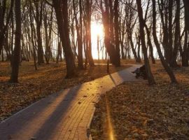 Дом в Калининградская область, Янтарный пгт пер. Спортивный, 1 (88 м²) - . Янтарный пгт - фото 27