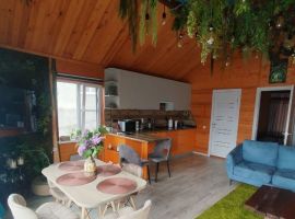 Дом в Ставропольский край, Ессентуки Мичуринец СТ, 15 (60 м²) - . Ессентуки - фото 23