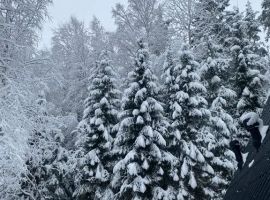 Дом в Ленинградская область, Всеволожск ул. Рубцова, 23Н (60 м²) - . Всеволожск - фото 18