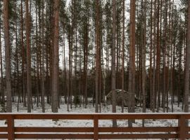 Дом в Ленинградская область, Выборг ул. Боцманская, 5А (96 м²) - . Выборг - фото 12
