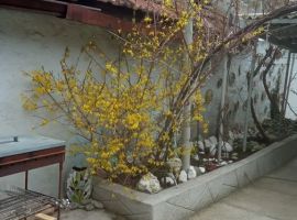 Дом в Ставропольский край, Пятигорск Теплосерная ул., 45 (55 м²) - . Пятигорск - фото 8