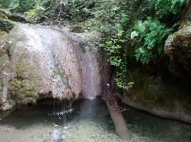 Дом в Краснодарский край, Сочи Голубая Дача мкр, ул. Уральская, 10 (29 м²) - Уральская. Сочи - фото 6