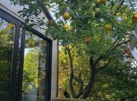 Дом в Краснодарский край, Сочи Рассвет садовое товарищество, 6 (26 м²) - . Сочи - фото 7