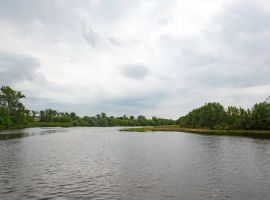 Дом в Ярославская область, Ярославль Которосльная наб., 47 (22 м²) - . Ярославль - фото 14