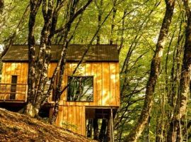 Дом в Краснодарский край, Сочи с. Эстосадок, ул. Березовая, 11А (47 м²) - Березовая Аллея. Сочи - фото 37