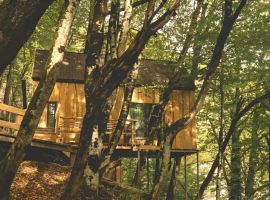 Дом в Краснодарский край, Сочи с. Эстосадок, ул. Березовая, 11А (47 м²) - Березовая Аллея. Сочи - фото 38
