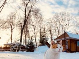 Дом в Ульяновская область, Ульяновск Нагорная ул., 21А (57 м²) - Нагорная. Ульяновск - фото 32