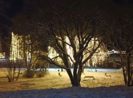 Дом в Псковская область, Великие Луки ул. Сизова, 26 (260 м²) - . Великие Луки - фото 22