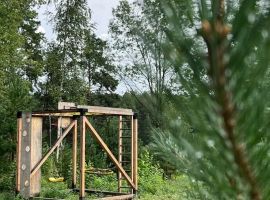 Дом в Псковская область, Печоры Сосновый Бор садовое дачное товарищество, 2 (39 м²) - . Печоры - фото 19