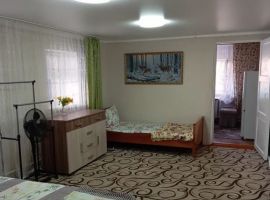 Дом в Оренбургская область, Соль-Илецк Акбулакская ул., 27 (50 м²) - . Соль-Илецк - фото 9