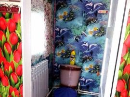 Дом в Оренбургская область, Соль-Илецк Акбулакская ул., 27 (50 м²) - . Соль-Илецк - фото 16