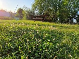 Дом в Калининградская область, Янтарный пгт ул. Озерная, 3 (40 м²) - Озерная (18 км Московского шоссе тер.). Янтарный пгт - фото 40