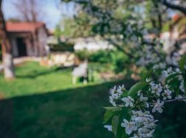 Дом в Калининградская область, Калининград ул. Старшины Дадаева, 29 (170 м²) - . Калининград - фото 28