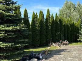 Дом в Калининградская область, Зеленоградск ул. Радужная, 17 (90 м²) - Радужная. Зеленоградск - фото 10