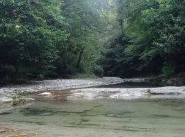 Дом в Краснодарский край, Сочи Черноморец садовое товарищество, 145 (150 м²) - . Сочи - фото 14