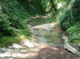 Дом в Краснодарский край, Сочи Черноморец садовое товарищество, 145 (150 м²) - . Сочи - фото 28