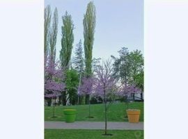 Дом в Ставропольский край, Кисловодск ул. Карла Либкнехта, 16 (200 м²) - Карла Либкнехта. Кисловодск - фото 12