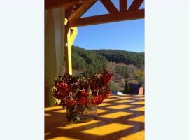Дом в Алтайский край, Белокуриха Алтайская ул., 30 (55 м²) - . Белокуриха - фото 10