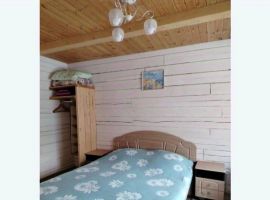 Дом в Алтайский край, Белокуриха Алтайская ул., 30 (55 м²) - . Белокуриха - фото 17