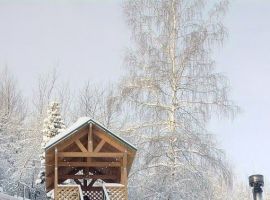 Дом в Алтайский край, Белокуриха Алтайская ул., 30 (55 м²) - . Белокуриха - фото 1