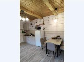 Дом в Алтайский край, Белокуриха Алтайская ул., 30 (55 м²) - . Белокуриха - фото 21