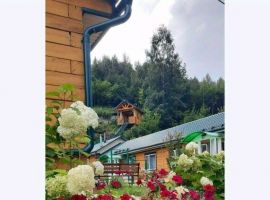 Дом в Алтайский край, Белокуриха Алтайская ул., 30 (55 м²) - . Белокуриха - фото 2