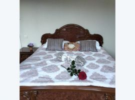 Дом в Ставропольский край, Кисловодск ул. Чехова, 86А (41 м²) - Чехова. Кисловодск - фото 30