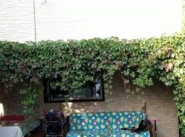 Дом в Приморский край, Арсеньев проезд Жуковского, 39 (200 м²) - Жуковского. Арсеньев - фото 14