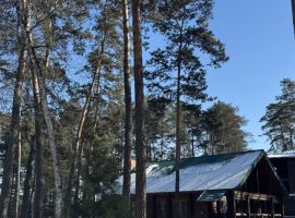 Дом в Новосибирская область, Бердск Морская ул., 10/1 (280 м²) - Приморская. Бердск - фото 7