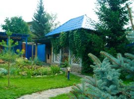 Дом в Новосибирская область, Новосибирск СНТ Отдых-2 ТСН, 191 (450 м²) - . Новосибирск - фото 24
