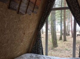 Дом в Ленинградская область, Сосновый Бор  (16 м²) - . Сосновый Бор - фото 2
