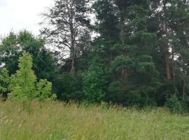 Дом в Владимирская область, Владимир Юрьевец мкр, Прохладная ул., 11 (120 м²) - . Владимир - фото 26