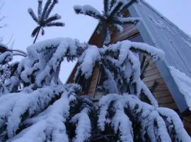 Дом в Тверская область, Осташков ул. Гагарина, 45 (48 м²) - Гагарина. Осташков - фото 16