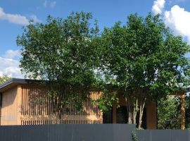 Дом в Нижегородская область, Нижний Новгород Колос СНТ, 285 (70 м²) - . Нижний Новгород - фото 21