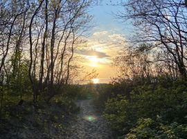 Дом в Калининградская область, Балтийск Родина ДНТ, ул. Ореховая, 18 (25 м²) - Ореховая (Орлов Овраг тер.). Балтийск - фото 10