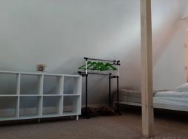 Дом в Калининградская область, Балтийск Зеленая ул., 7 (60 м²) - Зеленая (СНТ Нижние дойки-массив N3 тер.. Балтийск - фото 32