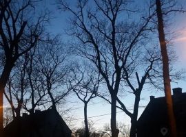 Дом в Калининградская область, Балтийск Зеленая ул., 7 (60 м²) - Зеленая (СНТ Нижние дойки-массив N3 тер.. Балтийск - фото 48