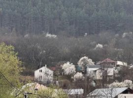 Дом в Ставропольский край, Кисловодск Прудная ул., 58 (40 м²) - . Кисловодск - фото 2