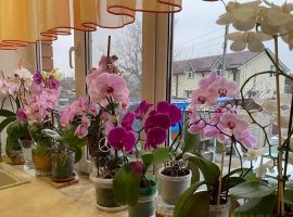 Дом в Ставропольский край, Ессентуки Ударный пер., 27 (160 м²) - Ударный. Ессентуки - фото 18
