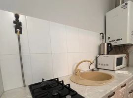 Дом в Ставропольский край, Минеральные Воды ул. Гагарина, 34 (45 м²) - Гагарина. Минеральные Воды - фото 6