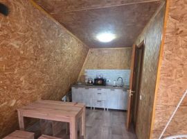 Дом в Воронежская область, Богучар ул. Брагонина, 36 (40 м²) - . Богучар - фото 2