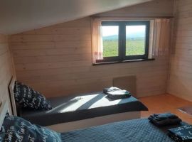 Дом в Камчатский край, Елизово Южная ул., 30 (90 м²) - Южная (СНТ Прогресс снт). Елизово - фото 3