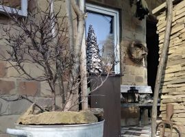 Дом в Ставропольский край, Кисловодск Подгорная ул., 18 (160 м²) - Подгорная. Кисловодск - фото 4